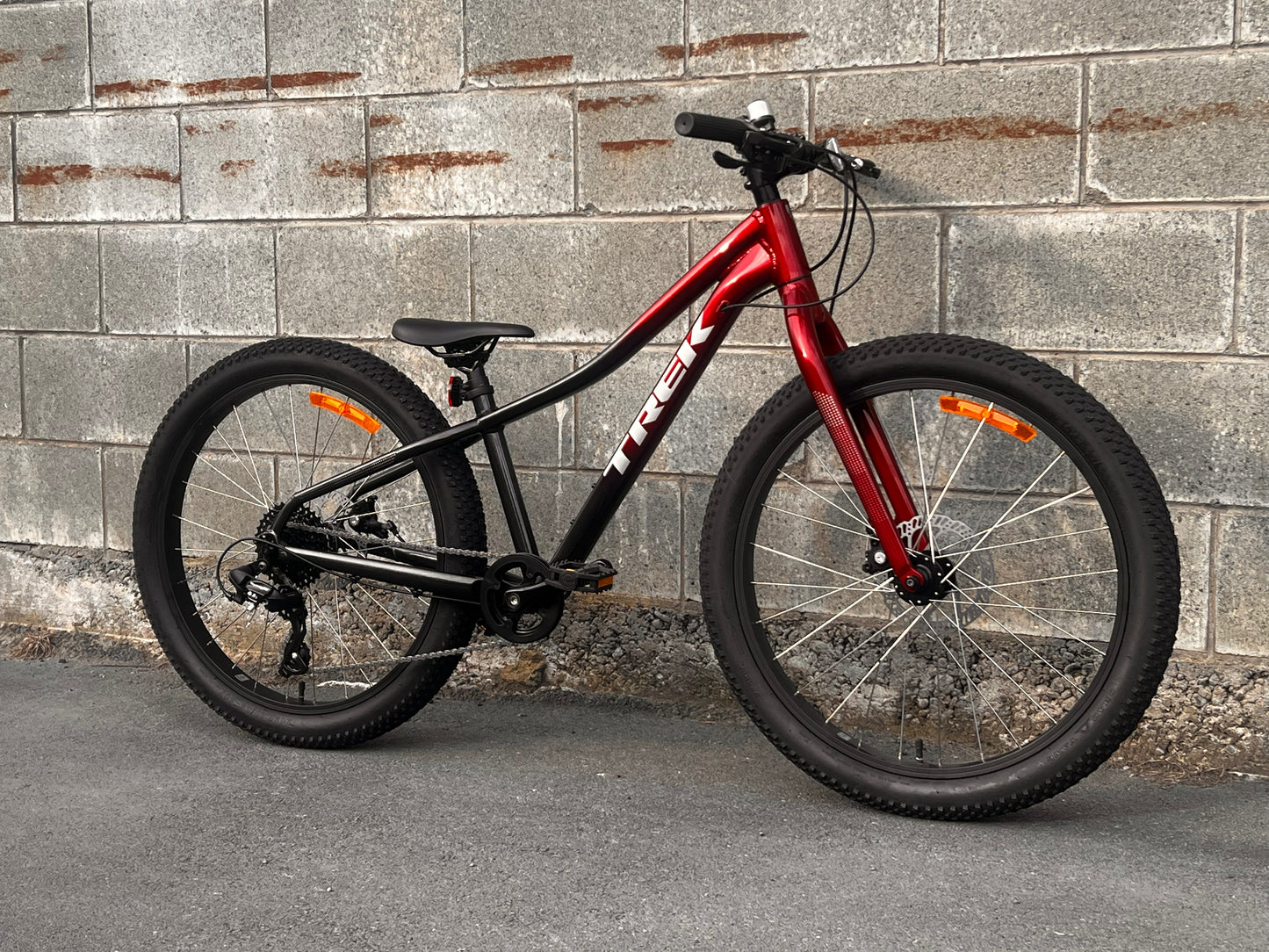 Trek Roscoe 24”