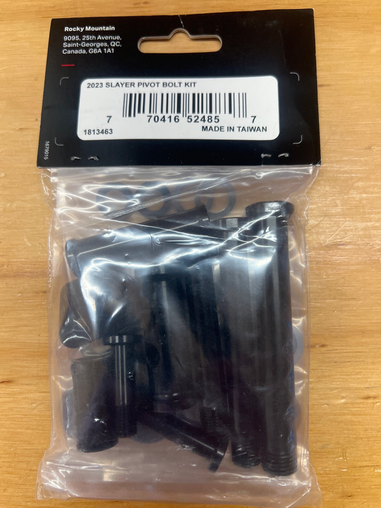 Rocky Mountain 2023 Slayer Pivot Bolt Kit 1813463