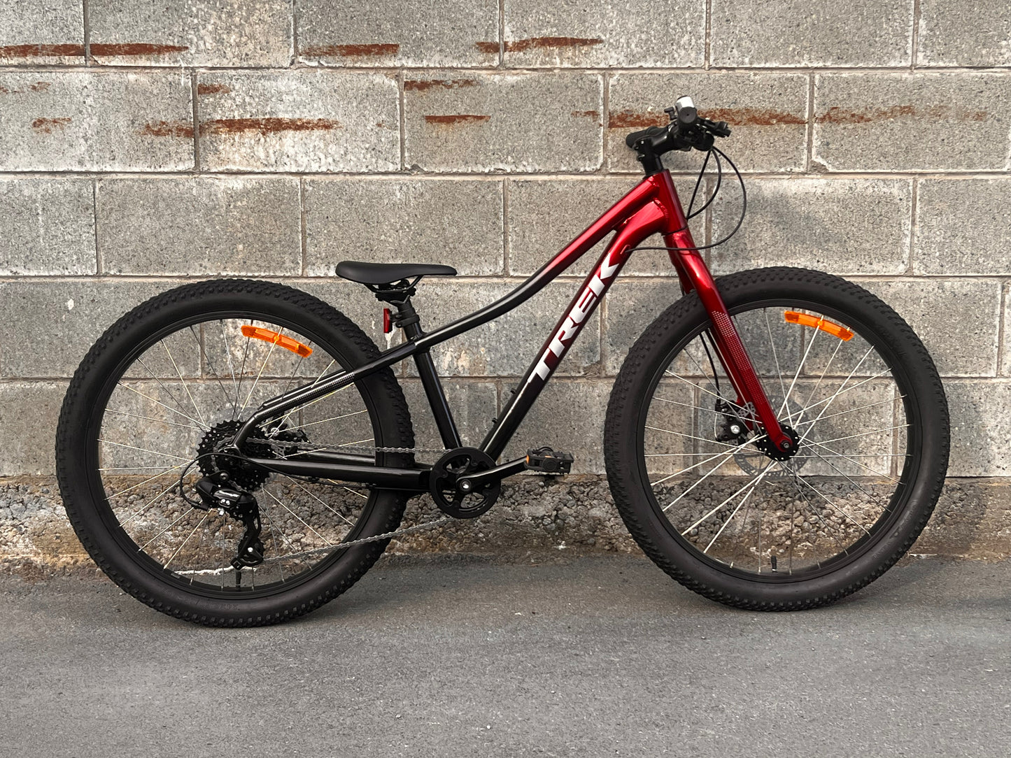 Trek Roscoe 24”