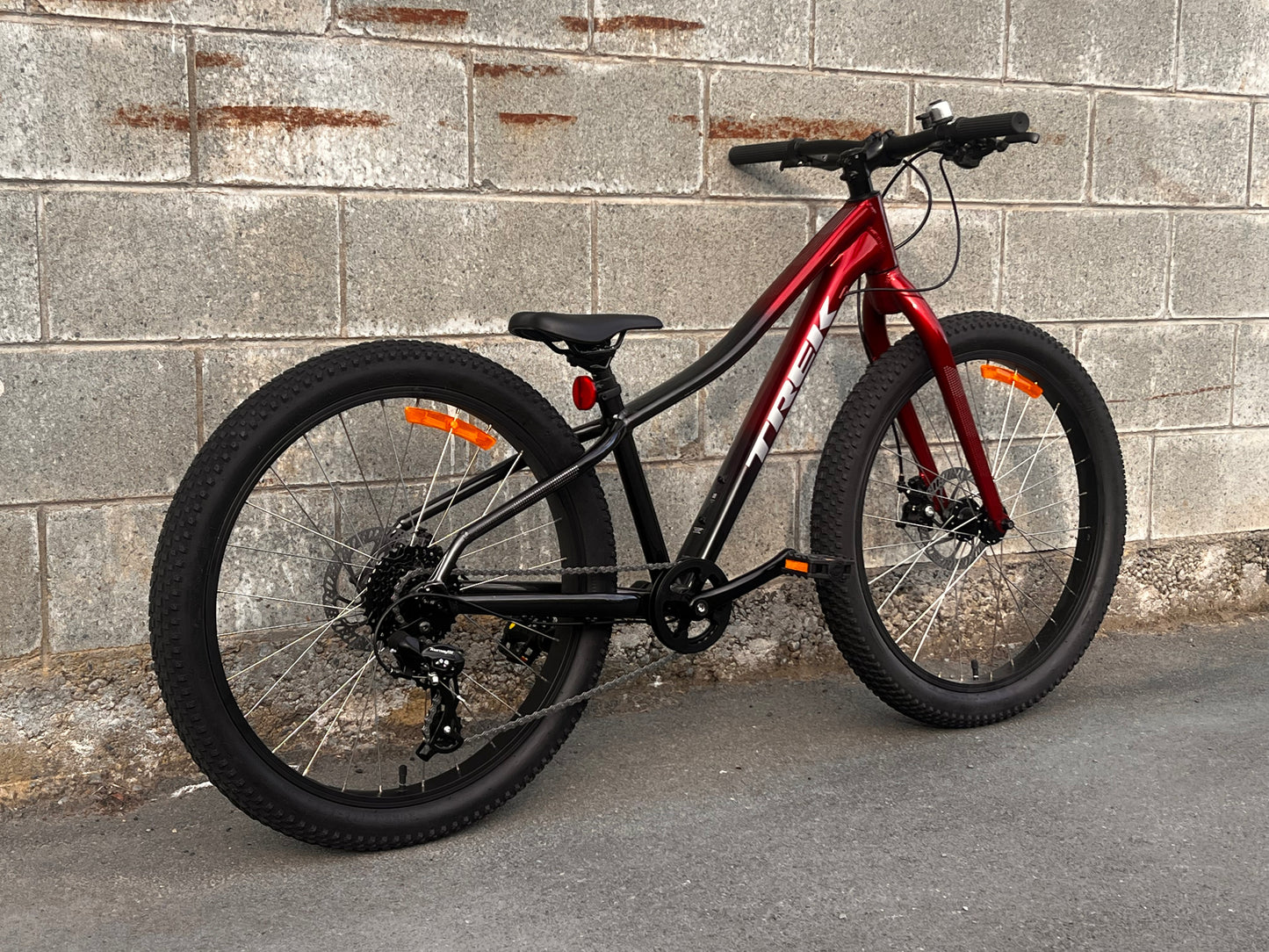 Trek Roscoe 24”