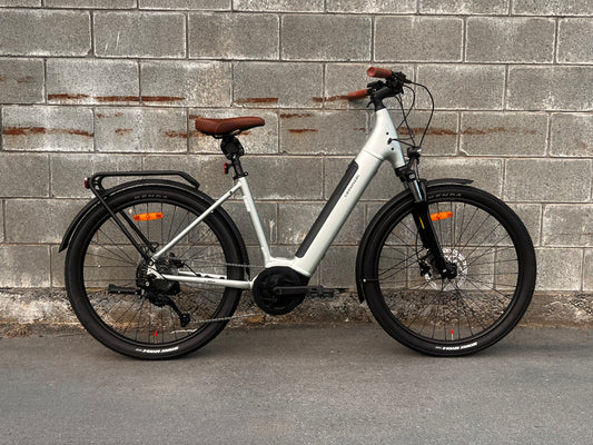 Cannondale Adventure Neo Large