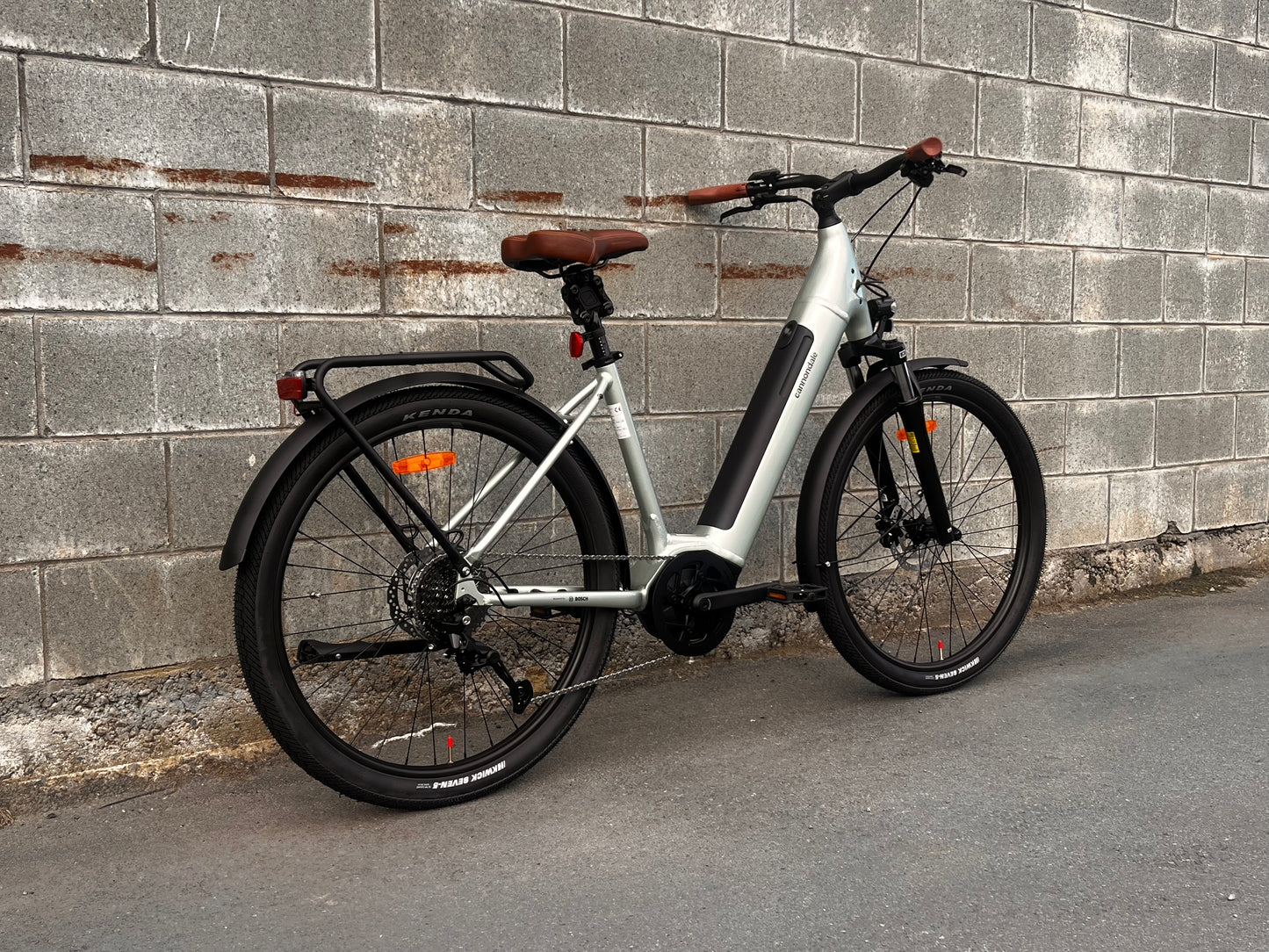 Cannondale Adventure Neo Large