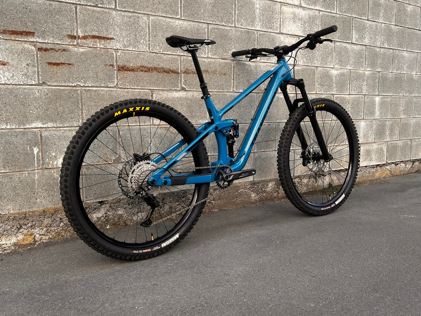 Transition Sentinel Alloy Large - Custom