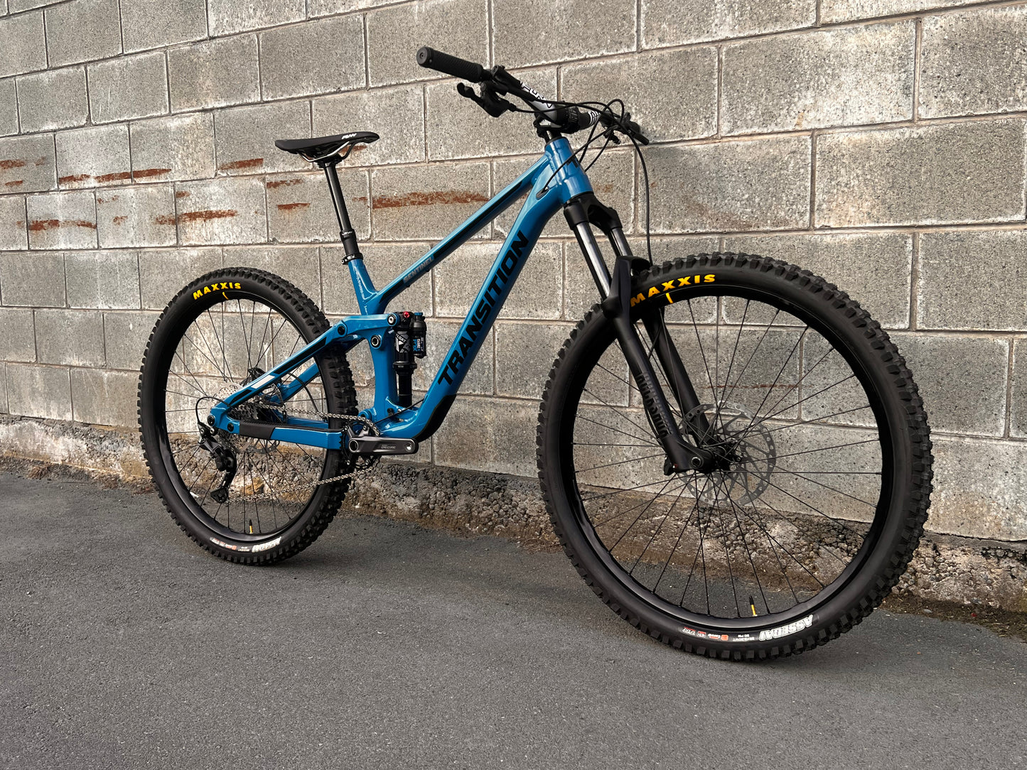 Transition Sentinel Alloy Large - Custom